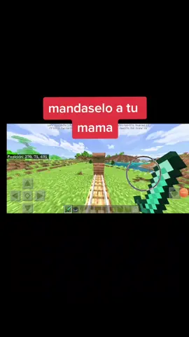 una gran forma de decirle a tu mama que tienes hambre jajaja#Minecraft  #montañas rusas