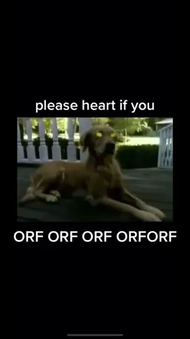 ORF ORF ORF ORFORF (aka part of the Goosebumps theme without question) #90skids #spooky #halloween #horror #rlstein #evildog #bork #bark #goosebumps
