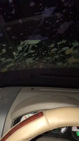 Yea fun night we just had @k.19th @_austxn      #f150 #dogin #sender