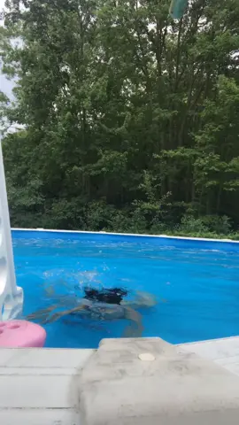 Don’t Sh!t in my pool 🤣🤣🤣#poolday #fyp #mermaid #funny