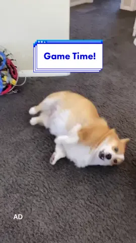 COMMENT WHICH CELEBRITY YOU GET! #LaughPause #ChocolateRecipe #corgi #games
