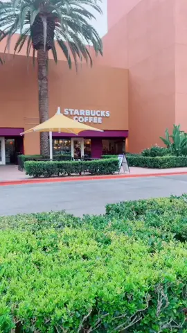 @kimmyjoybrooks need this kind of energy in the mornings 😹  #energized #fueledbystarbucks #starbucks #bestiechallenge
