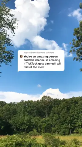 Reply to @sithtrooper737 thank you buddy 🤝❤️ #GimmeLove #ReadingList #foryou #Love #fyp #thankful #clouds #asmr #foryoupage