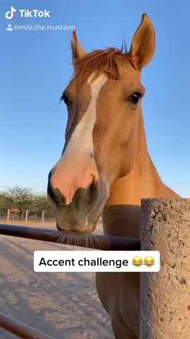 Which one is your fav #accentchallenge #HungerGames #accent #FoodReview #horsesoftiktok #funny