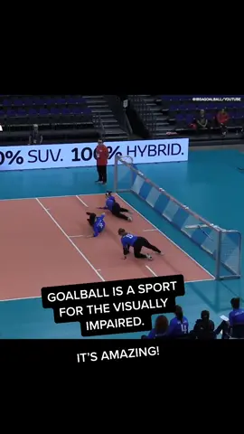 Just awesome! (via IBSAGOALBALL/Instagram)