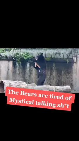 #helpthebear