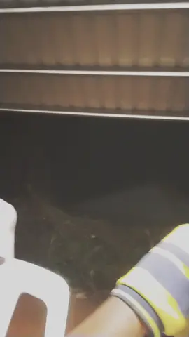 GOOD BITCH 🌀