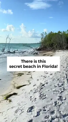 Who wants to visit this secret beach with me? #BeatsDaisyChallenge #florida #beach #secret #floridacheck #fyp #vacation #usa #swim #pretty #travel