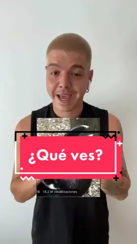IG adrianconde.vet | Conejo ❤️ Cuervo 💬 | se lo vi a @gerardo.begerez y me parece interesante 🧐  #veterinario #mascotas #animales #debate