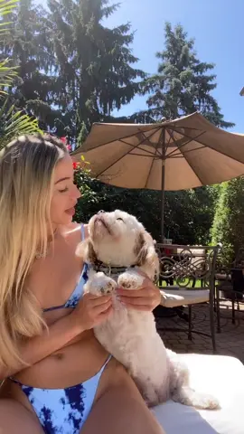 I’m Spoodle’s favorite