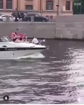I know that hurt #fyp #ouch #ocean #boat #bridge