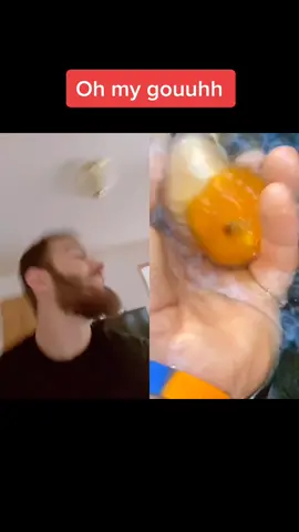 #duet with @lukesgoldies  Duet this video now. Whoever does it best gets a shoutout and a fish named after them. #fish #goldfish #duet