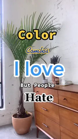 Color Combos I love, but people hate! Part 1 #colorcombos #colors #style