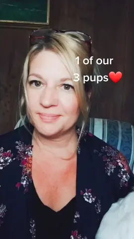 Murphy, our #rescuepup #dogmomlife