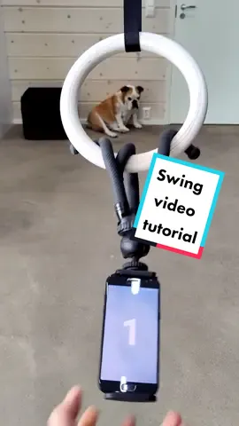 Who's the #BiggestFan? Want to see results? 😀🐶 #tutorial #englishbulldog #swing