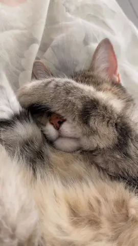 I do not see it ❤️
