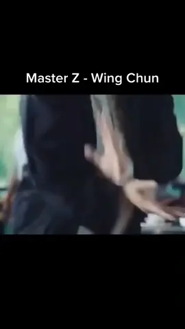 #wingchun #kungfu #wingchunkungfu #martialarts #masterz #ipman