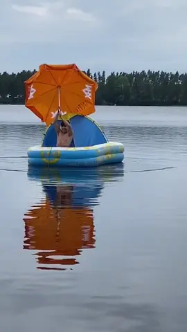 Fjortisper är på jakt igen, med livet som insats. #boat #4u #festival