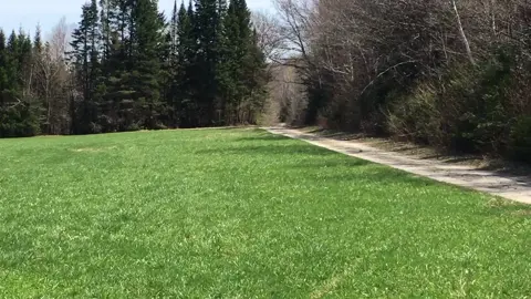 Lil Volvo rally to bad she has 63 hp 😂🤷🏻#shitbox #gutless #brick #rally