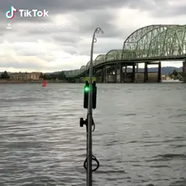 #fishinglife #fishing #fisherman #angler #angling #fish #bigfish #karpfen #nashtackle #carprun #fishingrod #carp #carpfishing #theaverageanglers
