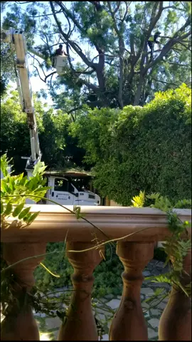 la vida en el norte