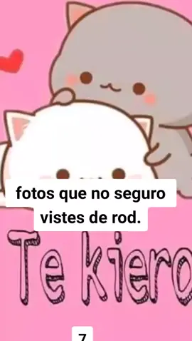 COMENTAA QUE FOTO VISTEE DE ROD