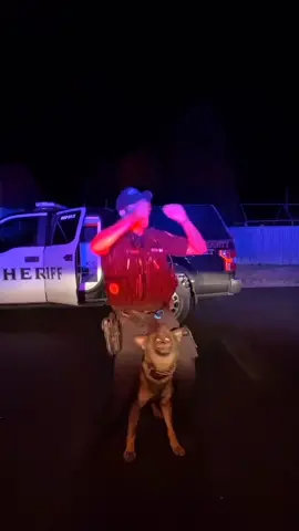 How’d we do? #Entrepreneur #StreetFashion #k9arlo #k9officer #k9unit #fyp #k9softiktok #copsoftiktok #deputy #deputysheriff #police #policek9