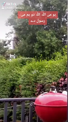 #foryoupage#foryou#tiktokers#dua#maa#alla#muhammad#uk#weather#barish#rain#wind#tree#leaf#green#mosam#varil#burahan_tv#treanding#cold#sardi#💞🕋💞🕋💞