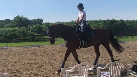Posting my drafts- Part 3 #missingthissomuch #trainingcamp #dressage #jovi #shithappens #lifeisunfair #mytimewillcome #autisticandproud #equinetherapy