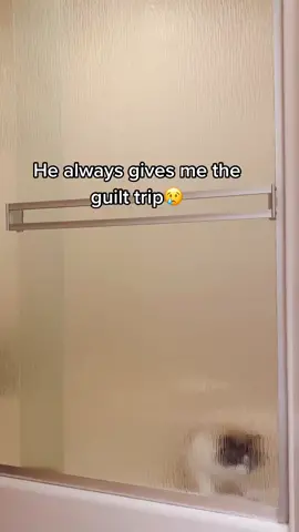 Full video on Instagram 🙄 link in bio. #ThisIsBliss #GetFit #OutfitChange #duet #foryou #foryoupage #catsoftiktok #PetsOfTikTok #fyp