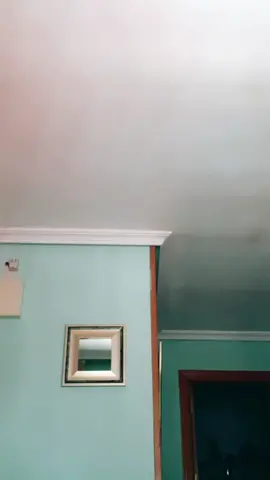 Insta: ase.037 📥 // Los envidiosos dirán qué es una almohada 🙂