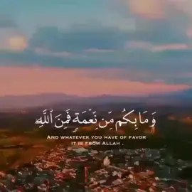 #القرآن_الكريم #اكتب_شي_تاخذ_عليه_أجر #@mn_111222mn #@elaf_ebrahim #@mood__mr #@aboose1234 #اكتب_شي_توجر_عليه