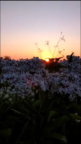 Un excelente amanecer. #amanecer #laudatosi #myorit #jovi35