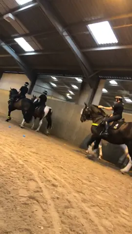 Training police horses. They don’t just appear on the streets without any preparation 😊 #horse #equestrian #police #fyp #foryoupage