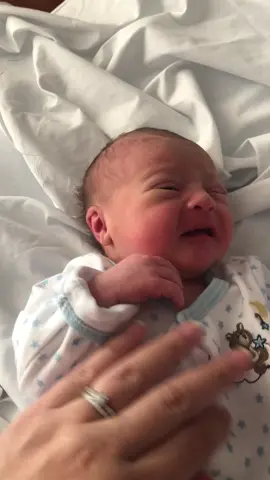 Our son at 24 hours old. Everyone meet Leo. Even his cry is cute ❤️ #newborn #baby #cute #inlove