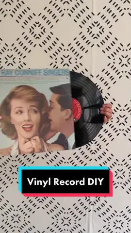 Because we all have these in our basement 👋🏽#summerdiy #howto #albumlookalike #albumcover #diyfashion #LearnOnTikTok #vinylcrafts #vinylrecords