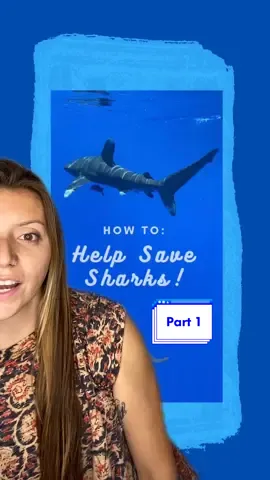 A lot to explain so if you want more detail on shark finning let me know!🦈 #SharkWeek #shark #ocean #fyp #conservation #sharkfin