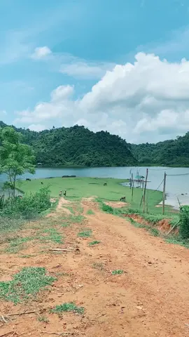Đẹp như tranh❤️