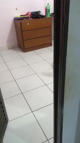 Quando seu marido so vive no computador 😒