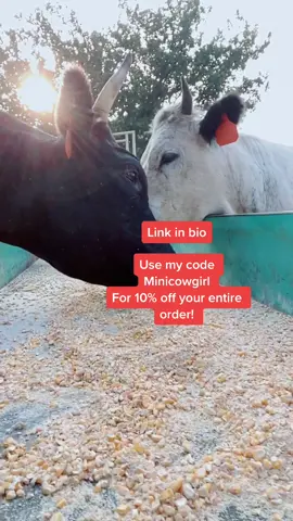 @thecoldestwater #goodmorning #fyp #water #coffee #goodshit #farmgirl #fyp #foryou #thankyou #minicowsoftiktok #thecoldestwater