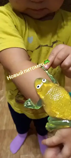 Новый друг🐸#квакваква #лягушка #лизун #счастьерядом #бусинкамоялюбимая