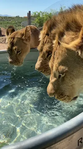Stay hydrated 💦