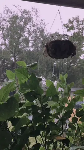 Summer storms in FL #ItStartsOnTikTok #TikTokWithAlexa #WhatsYourPower #florida #lkldfl #lkdfl #fyp #summerstorms #raindrop