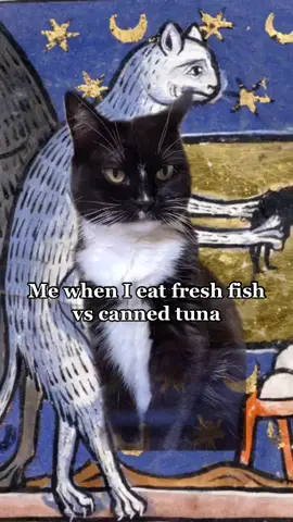 Wherefore art meow? #medieval #actionlines #history #artlessons #fyp #PetsOfTikTok #catsoftiktok