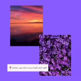 #القرآن_الكريم #اكتب_شي_تاخذ_عليه_أجر #@mn_111222mn #@elaf_ebrahim #@aboose1234 #@mood__mr #اكتب_شي_توجر_عليه