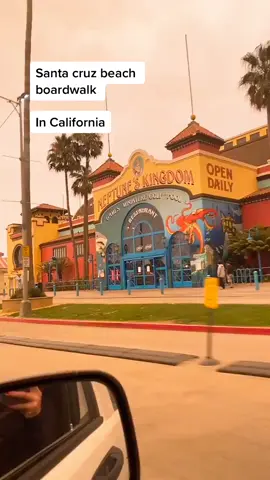 if you live in California you must visit this beach🔥🙌🏼#santacruzcalifornia  #californiahiddengems #summer2020check #californiaadventures  #bayarea