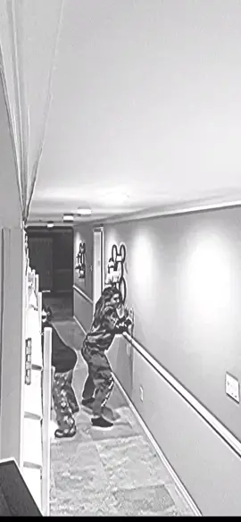 #pov you’re the trap house security camera with a TWIST @tarayummy