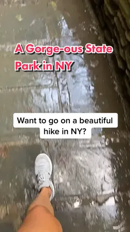 An Easy Hike in a Gorge-ous State Park in NY-Wait for the end! #adventuretravel #outdoorsygirl #hikewithme #travellifestyle