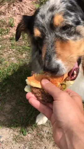 a special day for Donnybrook 🤝❤️ #food #fyp #burger #foryoupage #dogsoftiktok #foryou