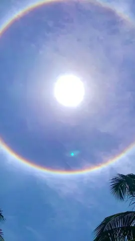 Have you ever seen this before? #Halo #sunhalo #sunshineaesthetics #naturalphenomena #natureiscrazy #foryiu #fyp #travelduringquarantine #halodeluz